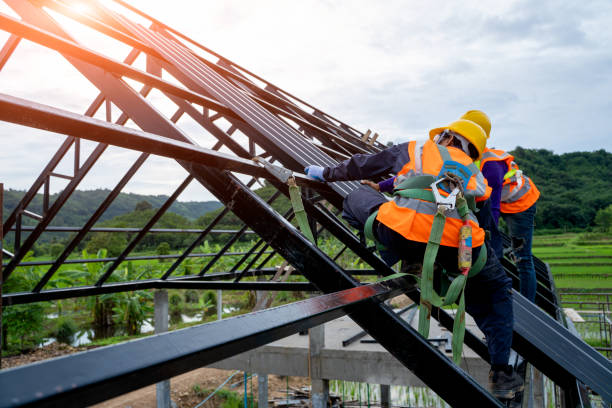 Best Roof Gutter Cleaning  in High Point, NC